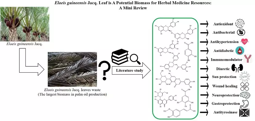 Graphical Abstract
