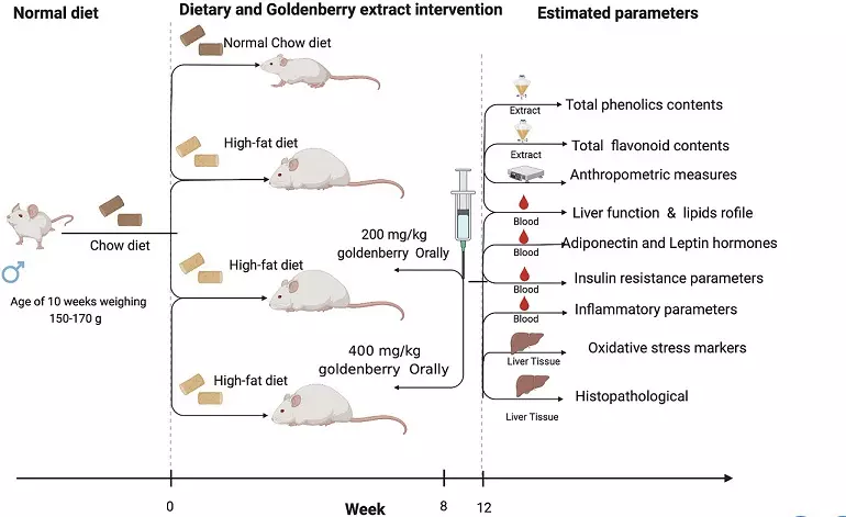 Graphical Abstract