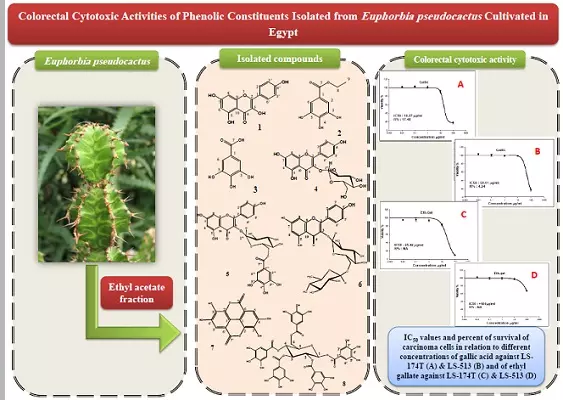 Graphical Abstract