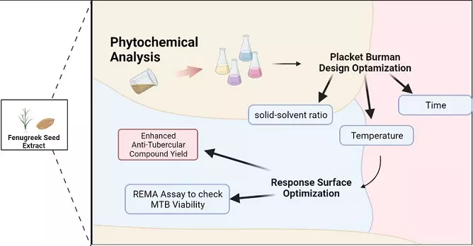 Graphical Abstract
