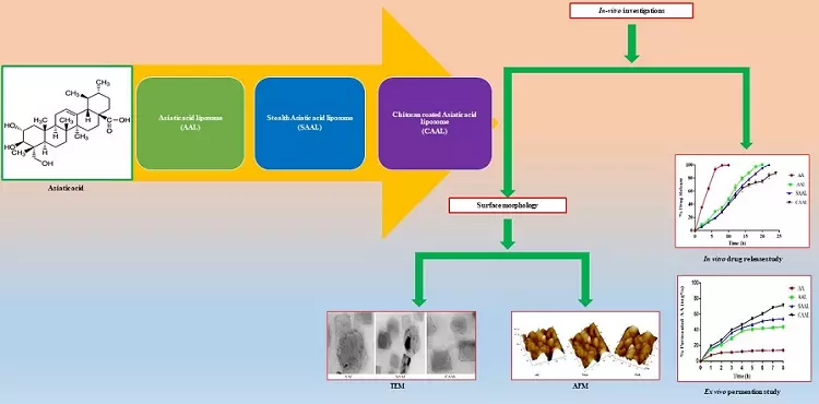 Graphical Abstract