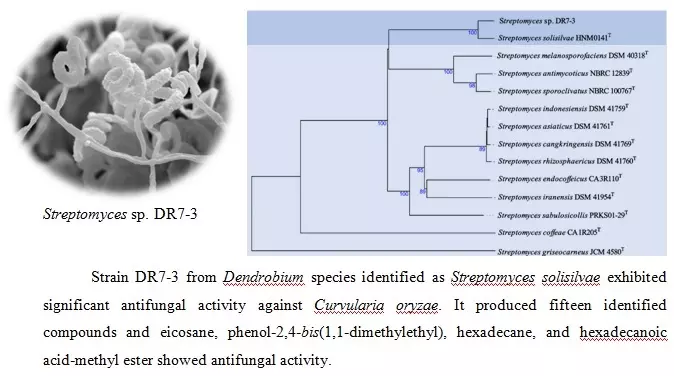 Graphical Abstract