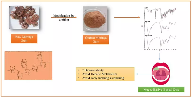 Graphical Abstract