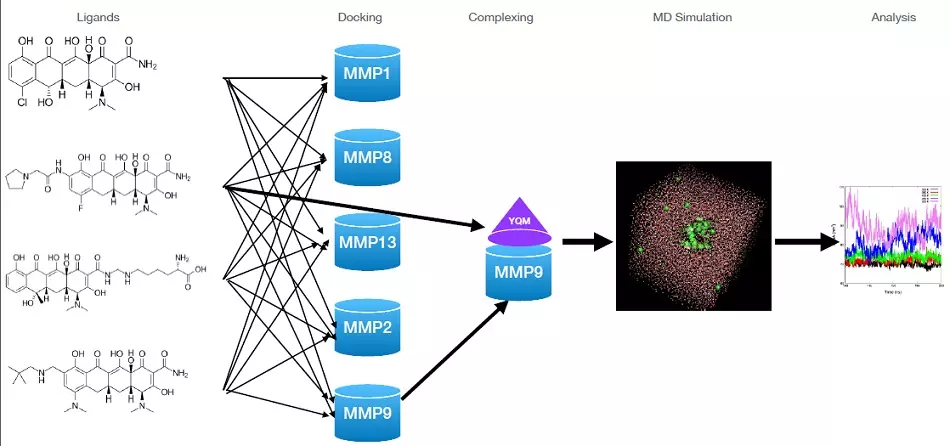 Graphical Abstract
