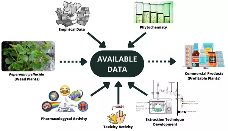 Graphical Abstract