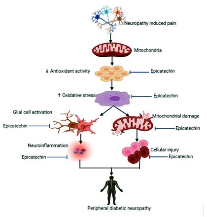 Graphical Abstract