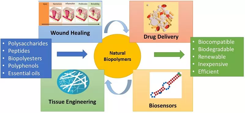 Graphical Abstract