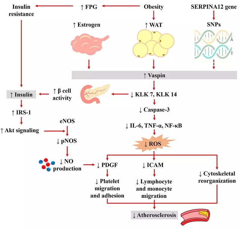 Graphical Abstract