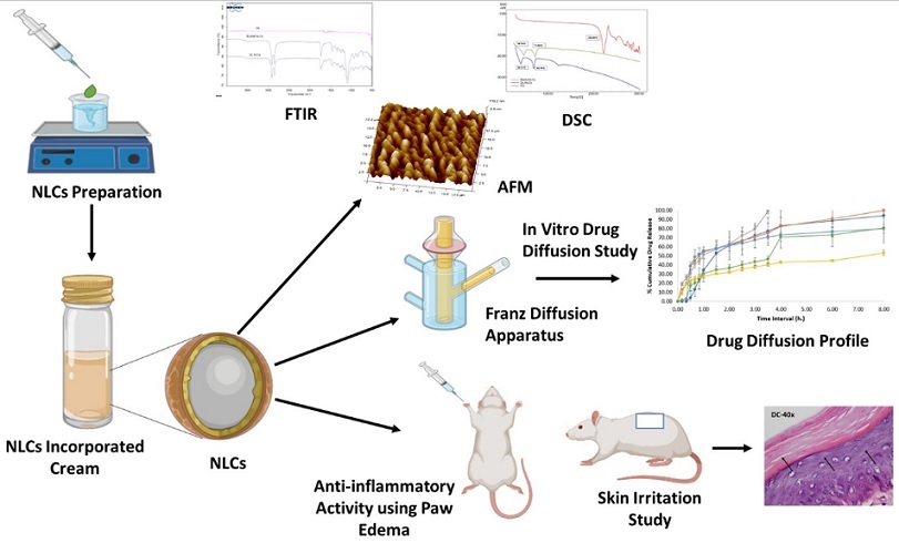 Graphical Abstract