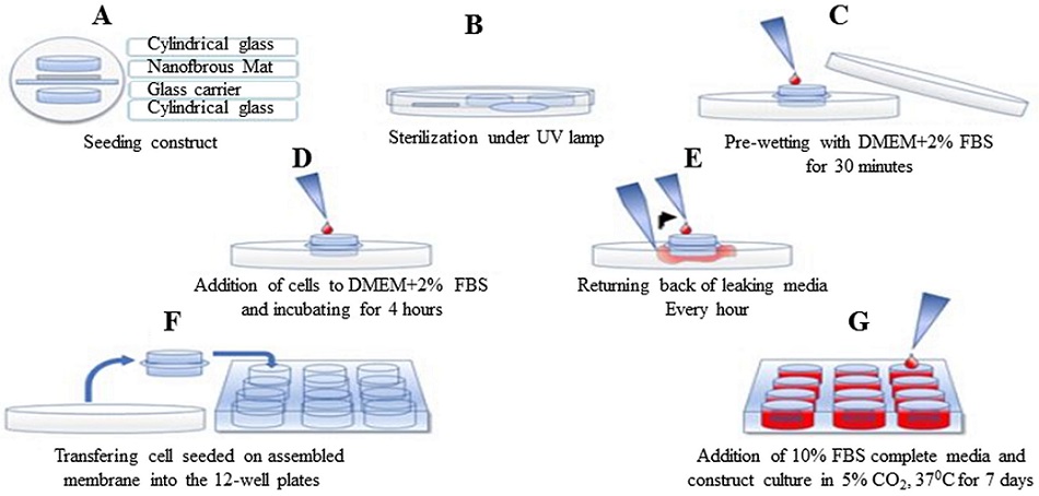 Graphical Abstract