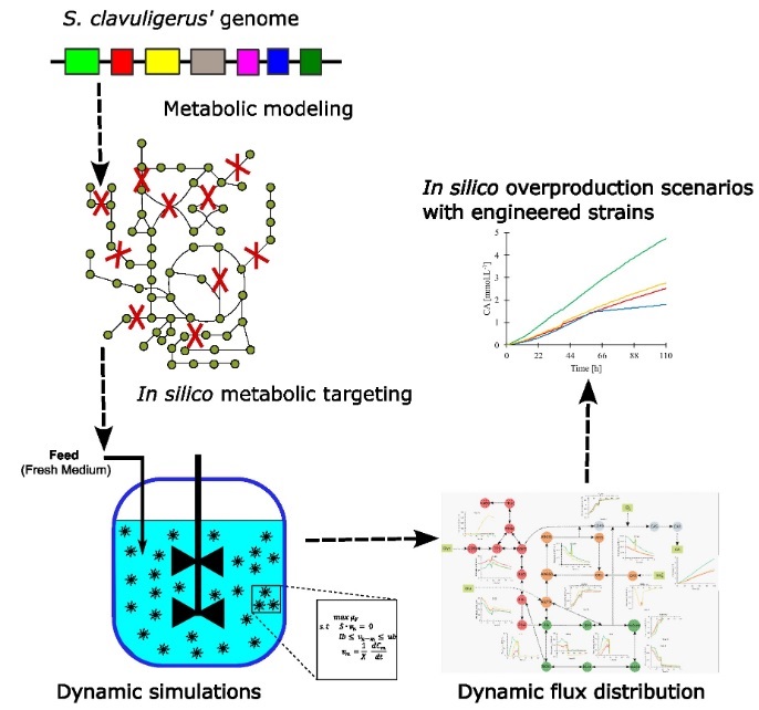 Graphical Abstract