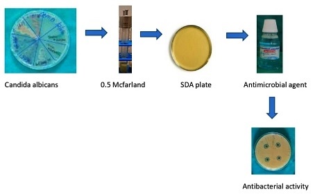 Graphical Abstract