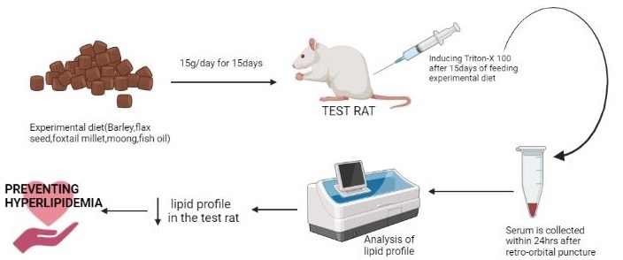 Graphical Abstract