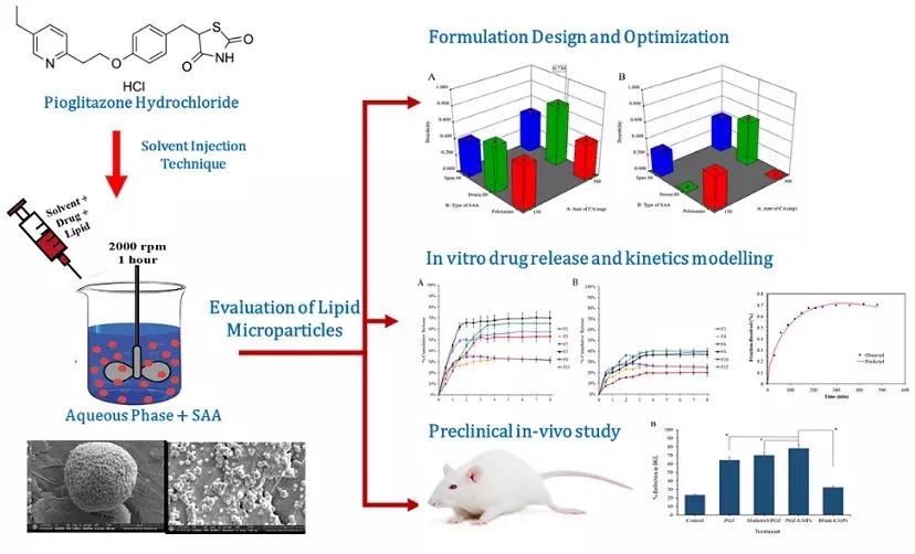 Graphical Abstract