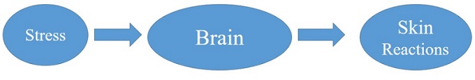 Graphical Abstract