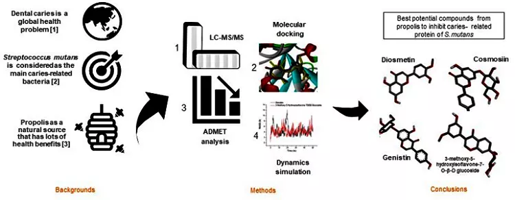 Graphical Abstract