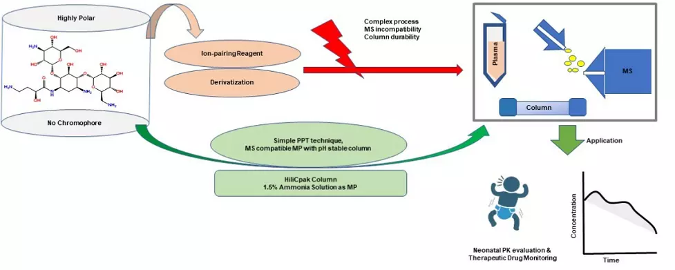 Graphical Abstract