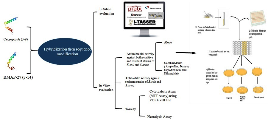 Graphical Abstract