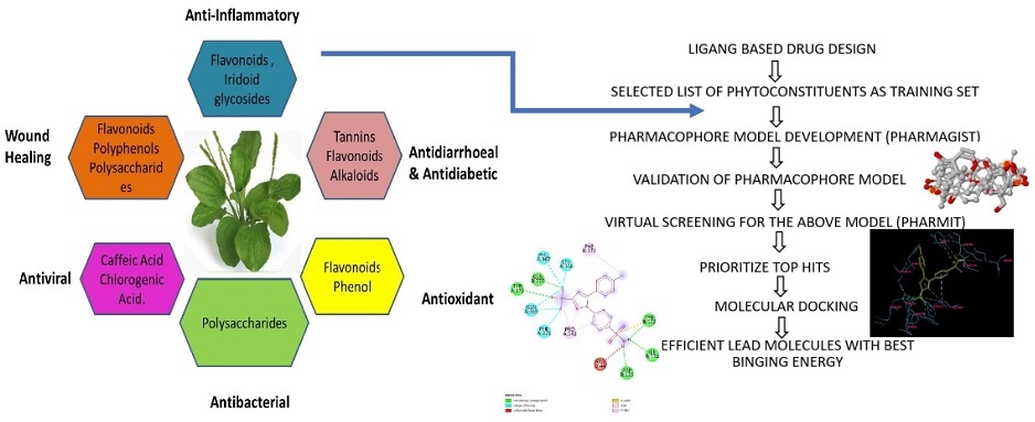 Graphical Abstract