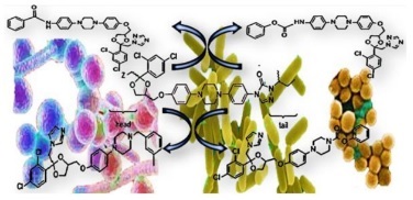 Graphical Abstract
