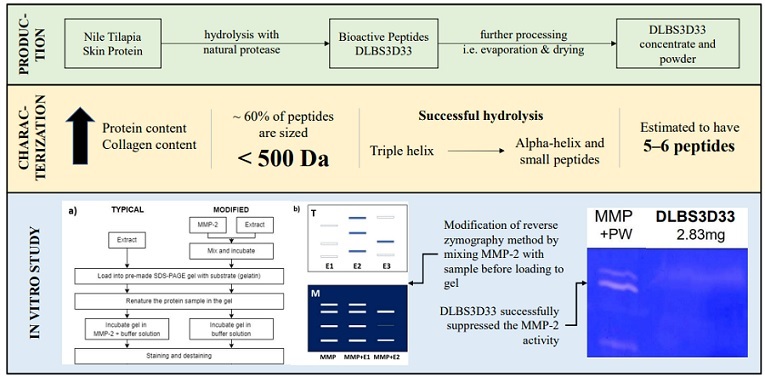 Graphical Abstract