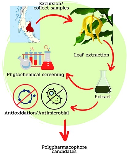Graphical Abstract