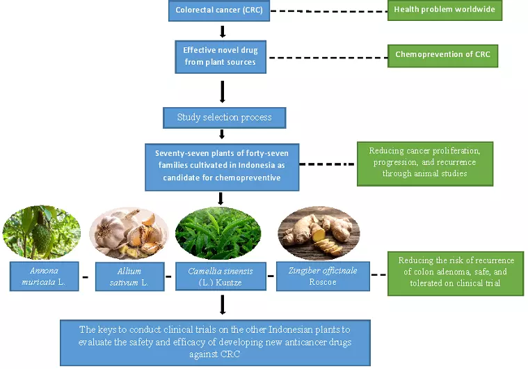 Graphical Abstract