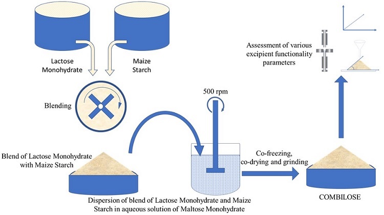 Graphical Abstract