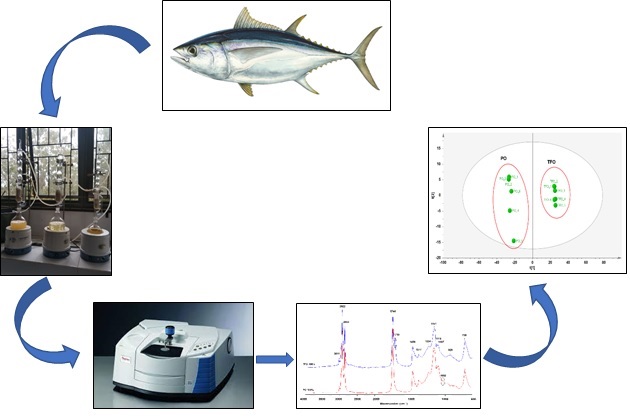 Graphical Abstract