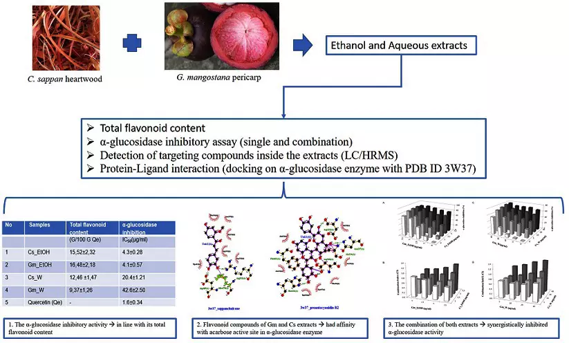 Graphical Abstract