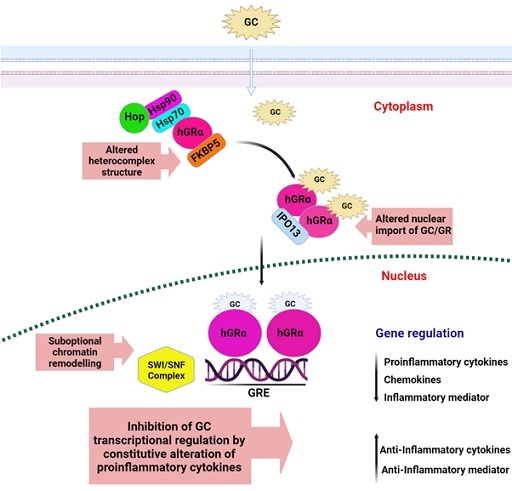 Graphical Abstract