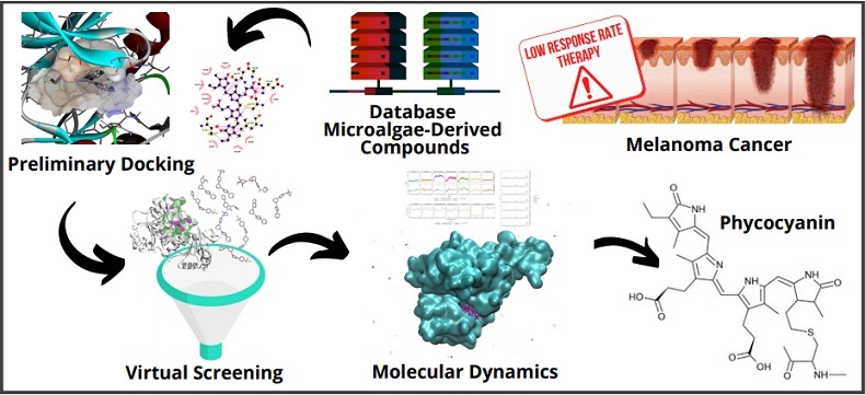 Graphical Abstract