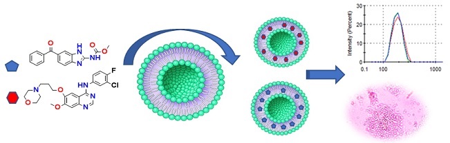 Graphical Abstract
