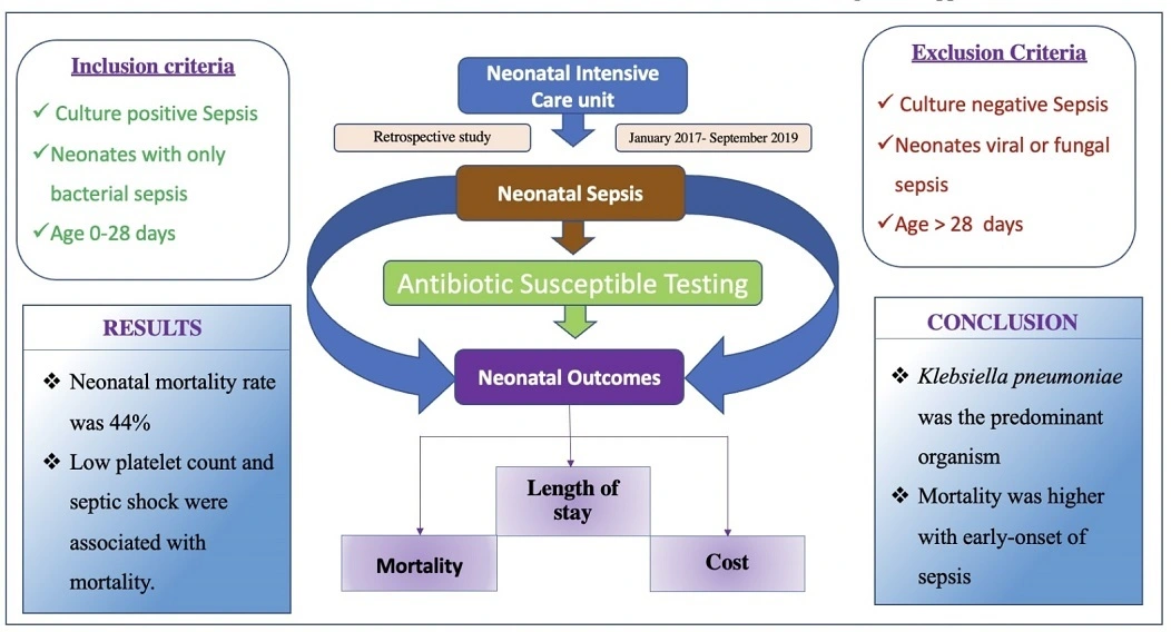 Graphical Abstract