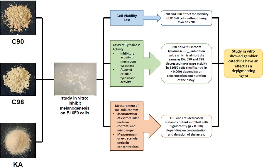 Graphical Abstract