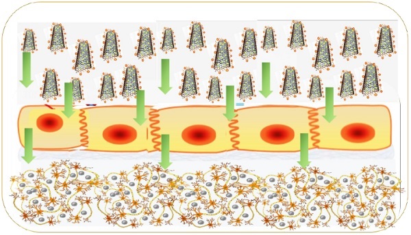 Graphical Abstract