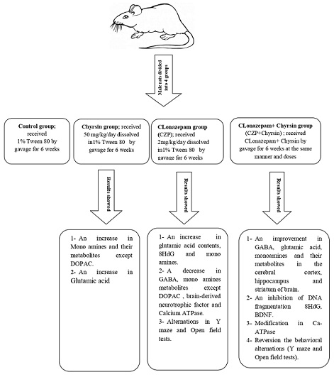 Graphical Abstract