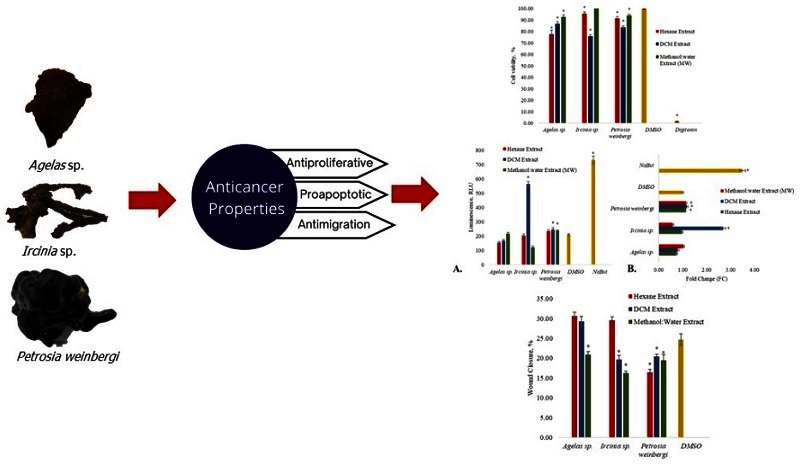 Graphical Abstract