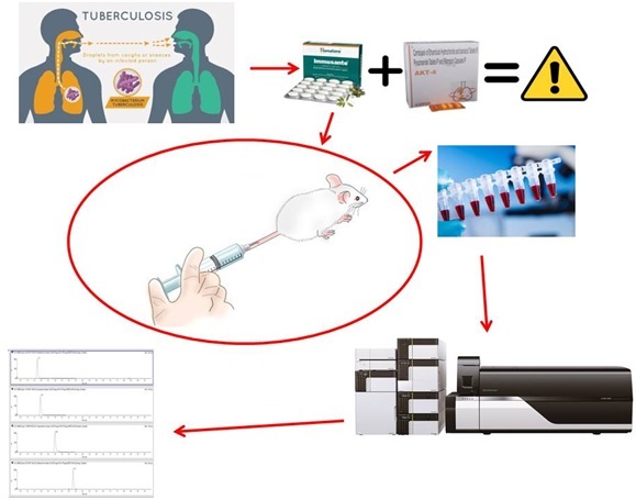 Graphical Abstract