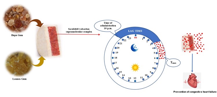 Graphical Abstract