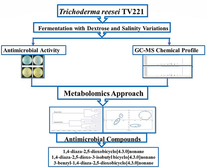 Graphical Abstract