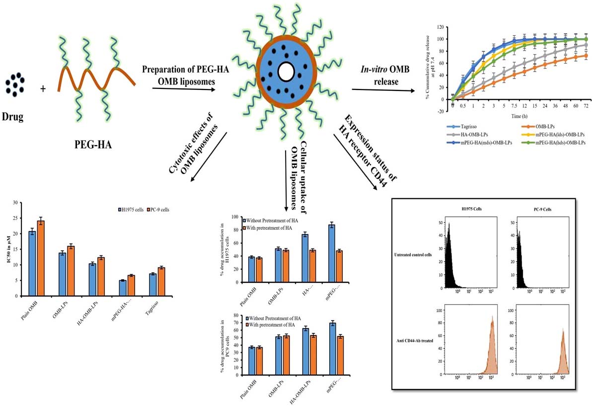 Graphical Abstract