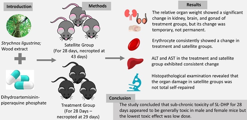Graphical Abstract