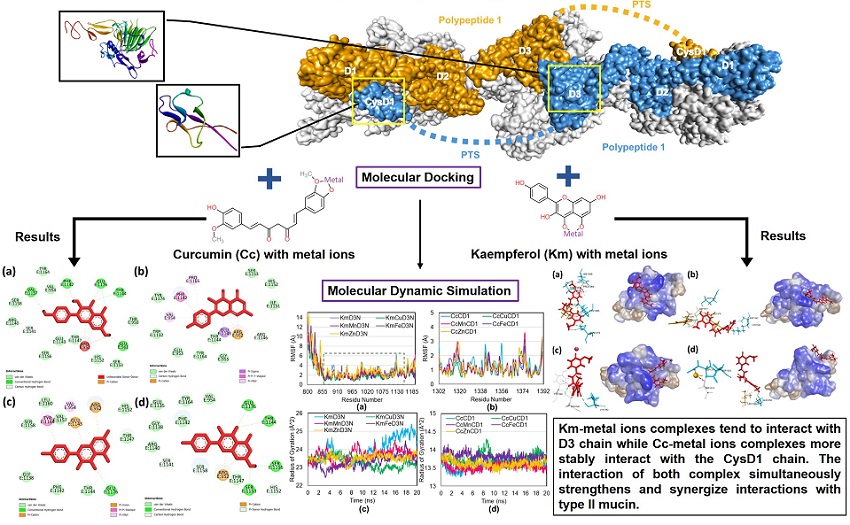 Graphical Abstract