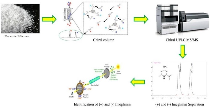 Graphical Abstract