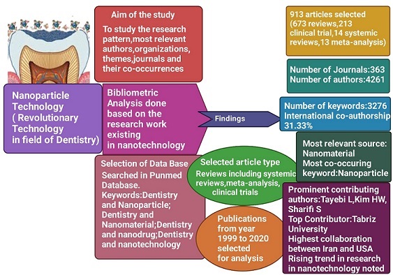 Graphical Abstract