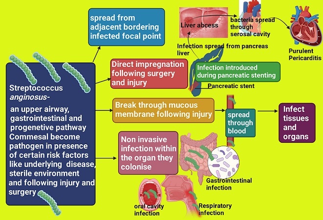 Graphical Abstract