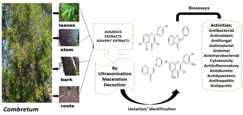 Graphical Abstract