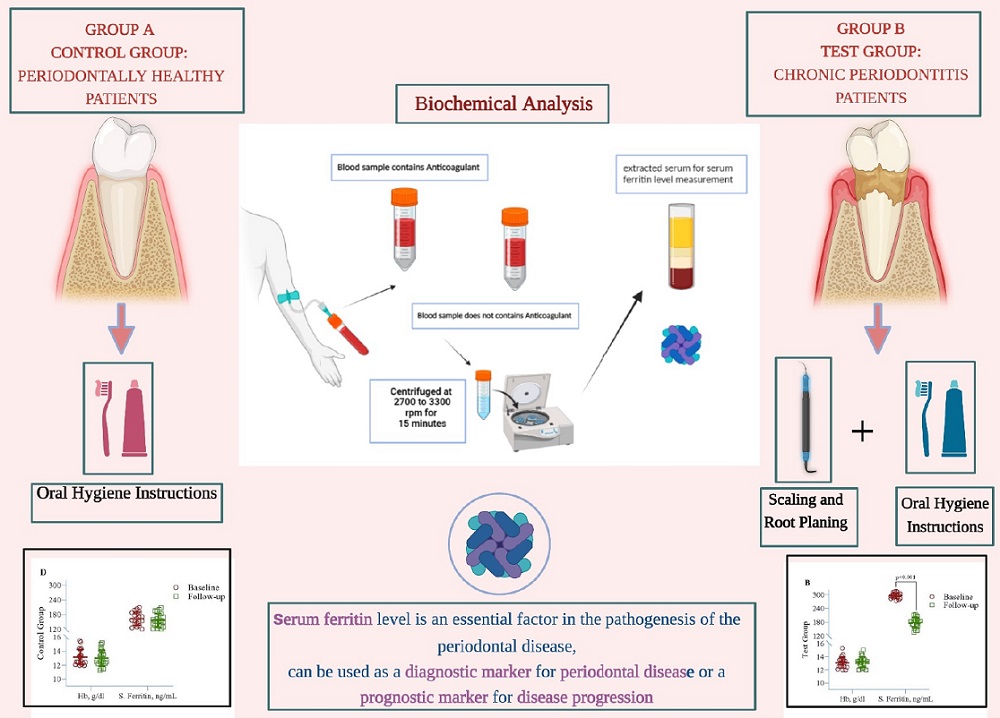 Graphical Abstract