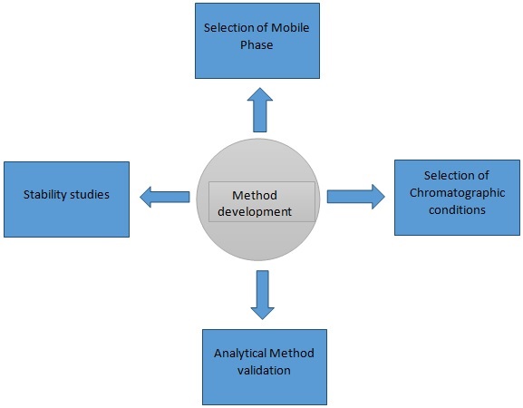 Graphical Abstract